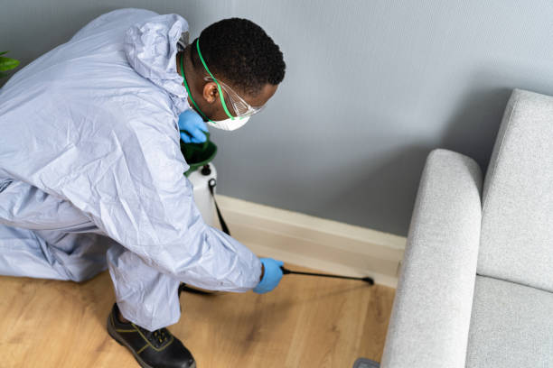 Reliable Oxford, OH Pest Control Solutions